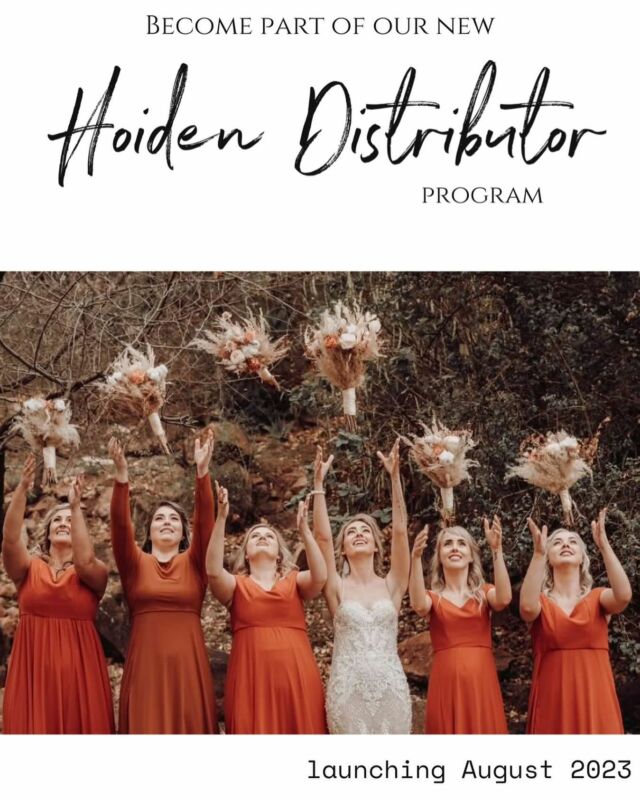 hoiden bridesmaid dresses Pagani
